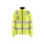 High Vis Gul