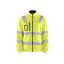 High Vis Gul