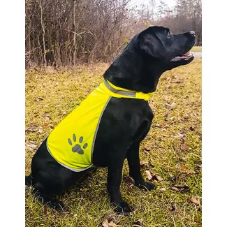 Korntex KX104, Udstyr til kæledyr Safety Vest For Dogs