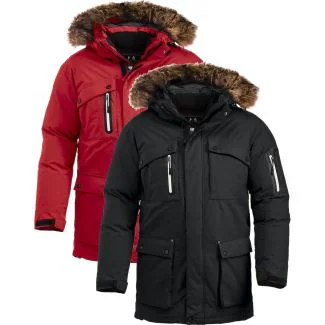 Clique 20997 Malamute