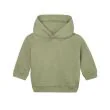 BZ63_Soft-Olive.jpg