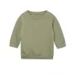 BZ64_Soft-Olive.jpg