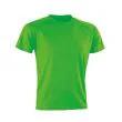 RT287_Fluorescent-Green.jpg