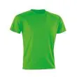 RT287_Fluorescent-Green.jpg