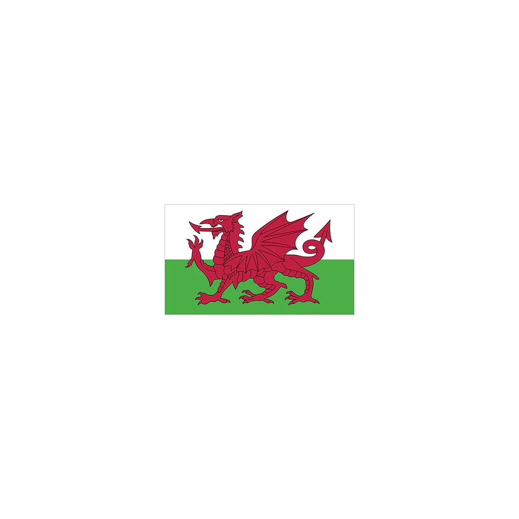 Printwear FLAGWLS, Flag Flag Wales